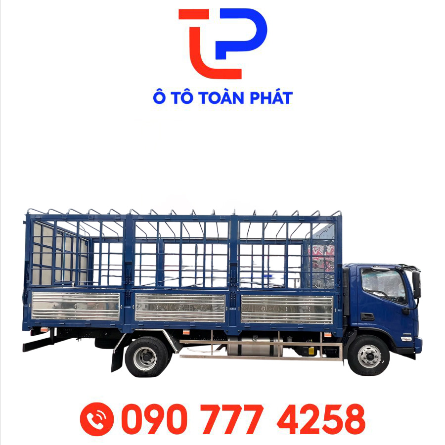 Ảnh thứ 6